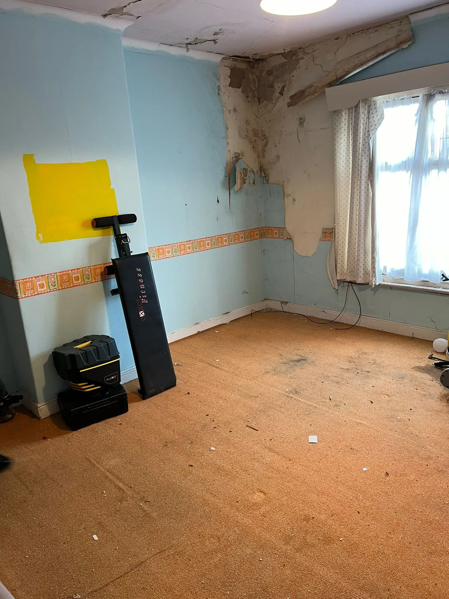 A run-down room with peeling walls, a dirty orange carpet, and an old exercise bench, signifying a need for house clearance.